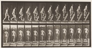 Tavle 109. Oppstigende trappestige, 1872-1885 av Eadweard Muybridge