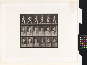 Plate 10.Gå av Eadweard Muybridge