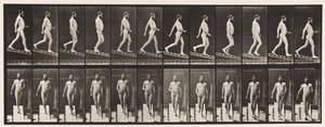 Plate 113. Descending Incline, 1 i 4, 1872-1885 av Eadweard Muybridge