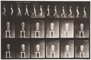 Plate 118. Nedstigning av Eadweard Muybridge