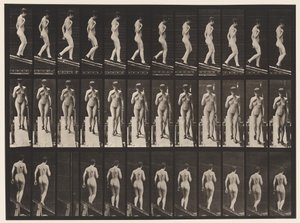 Plate 119. Synkende skråning, høyre hånd på brystet (sko) av Eadweard Muybridge