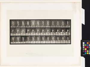 Plate 11.Gå av Eadweard Muybridge