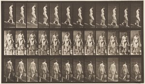 Plate 121. Synkende skråning, bøtte med vann i hver hånd av Eadweard Muybridge