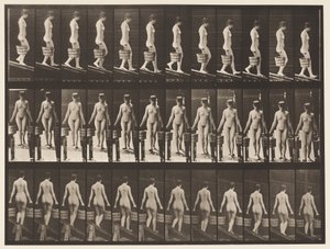 Plate 122. Synkende skråning, bøtte med vann i hver hånd, 1872-1885 av Eadweard Muybridge