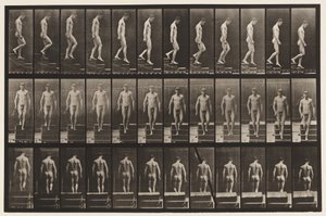 Plate 125. Nedstigende trapp av Eadweard Muybridge