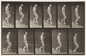 Plate 126. Nedstigende trapp av Eadweard Muybridge