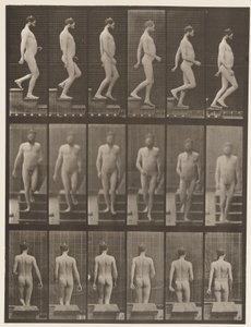 Plate 127. Nedstigende trapper, 1872-1885 av Eadweard Muybridge