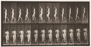 Tallerken 128. Nedstigende trapper, hender i klem, 1872-1885 av Eadweard Muybridge
