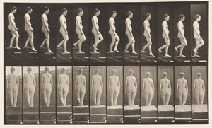 Tallerken 129. Nedstigende trapp, hender i klem av Eadweard Muybridge