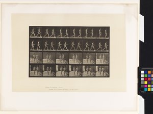 Plate 12.Gå av Eadweard Muybridge