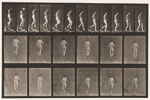 Tallerken 130. Nedstigende trapper, hender i klem, 1872-1885 av Eadweard Muybridge