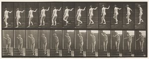 Plate 132. Nedstigende trapp, snur seg for å se seg rundt og vinker med hånden av Eadweard Muybridge
