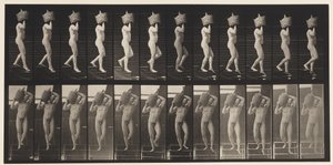 Plate 136. Nedstigende trapper full Demijohn på skulderen, 1872-1885 av Eadweard Muybridge