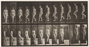 Plate 137. Nedstigende trapp, snur seg rundt av Eadweard Muybridge