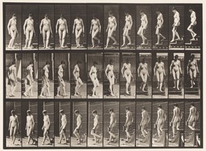 Plate 138. Nedstigende trapp Turning; Mugge i venstre hånd av Eadweard Muybridge