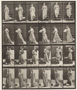 Plate 141. Nedstigende trapp og flørtevifte av Eadweard Muybridge