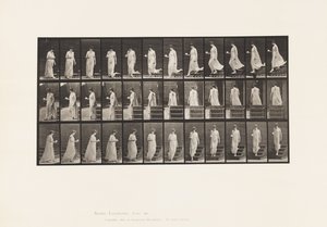 Tallerken 143. Synkende skråning, snukopp og tallerken i høyre hånd av Eadweard Muybridge