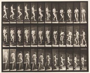 Plate 144. Nedstigende trapp; Vendebasseng i hender av Eadweard Muybridge