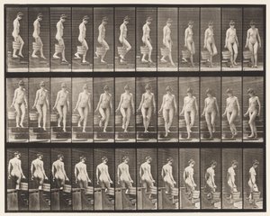 Plate 145. Nedstigende trapp; Å snu bøttevann i høyre hånd, 1872-1885 av Eadweard Muybridge