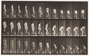 Plate 149. Nedstigende trapp; Bøyer seg for å løfte en mugge, 1872-1885 av Eadweard Muybridge