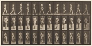 Plate 14. Walking, Right Hand at Chin, 1872-1885 av Eadweard Muybridge