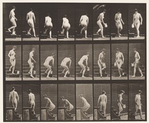 Plate 150. Nedstigende trapp; Bøye, løfte kanne, dreiing, 1872-1885 av Eadweard Muybridge
