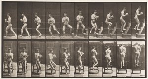 Plate 151. Nedstigende trappestige, snur seg rundt, stein i hender, 1872-1885 av Eadweard Muybridge