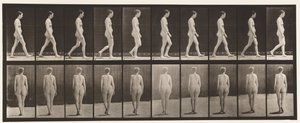 Plate 15. Gående av Eadweard Muybridge