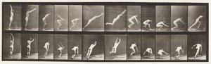 Plate 162. Hopping; Stående breddehopp av Eadweard Muybridge