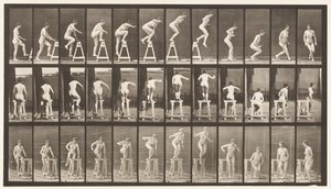 Plate 171. Å tråkke på en bukk; Hoppe ned, snu av Eadweard Muybridge