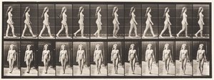 Plate 17. Vandrende, 1872-1885 av Eadweard Muybridge