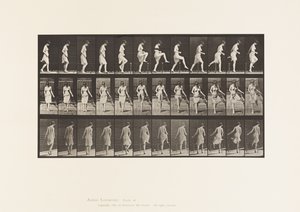 Plate 181. Å tråkke over et gjerde av Eadweard Muybridge