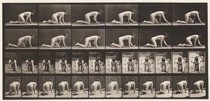 Tallerken 182. Krypende på hender og knær av Eadweard Muybridge