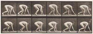 Plate 183. Gå på hender og føtter av Eadweard Muybridge
