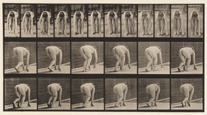 Plate 184. Går på hender og føtter av Eadweard Muybridge