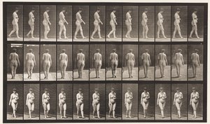 Plate 18. Gå, venstre hånd over magen, 1872-1885 av Eadweard Muybridge