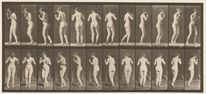 Tallerken 195. Dansende vals av Eadweard Muybridge