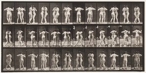 Plate 196. Dansende vals, to modeller av Eadweard Muybridge