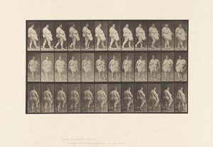 Plate 19. Gå, begynner å snu av Eadweard Muybridge