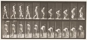 Tallerken 202. Å slippe og løfte et lommetørkle av Eadweard Muybridge