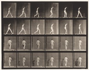 Plate 20. Gående, høyre albue bøyd av Eadweard Muybridge