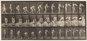 Tallerken 213. Løfte- og tømmekurv av Eadweard Muybridge