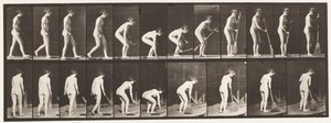 Tallerken 219. Bøye og løfte kost og feie av Eadweard Muybridge