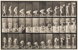 Plate 221. Bøye og løfte 12 lb kurv til hodet av Eadweard Muybridge