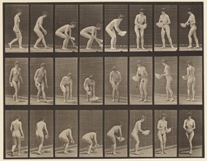 Plate 223. Bøye- og løftebasseng, tørke den og dreie, 1872-1885 av Eadweard Muybridge