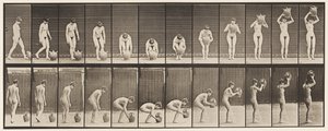 Tallerken 224. Bøye og løfte vannkrukken til hodet av Eadweard Muybridge