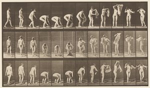 Plate 227. Løfteduk fra bakken,, 1872-1885 av Eadweard Muybridge