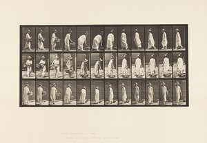 Plate 229. Plassere kurven på bakken og snu av Eadweard Muybridge