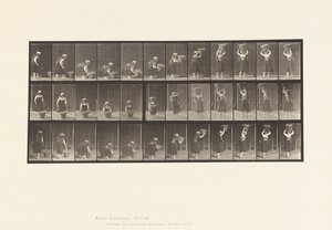 Tallerken 230. Løfter 30 lb kurv fra bakke til hode, dreiing, 1885 av Eadweard Muybridge