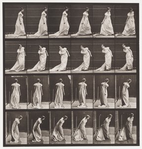 Plate 231. Bøyd for å arrangere tog og vending av Eadweard Muybridge